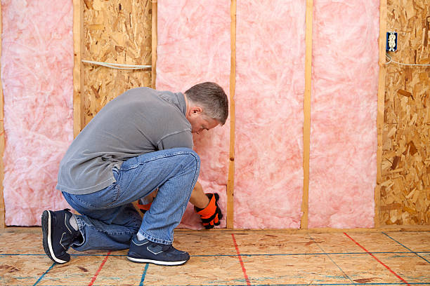 Best Insulation Maintenance and Repair in Amarillo, TX