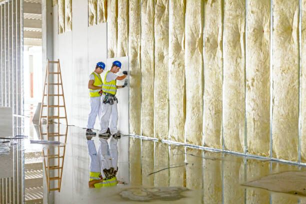Best Residential Insulation in Amarillo, TX